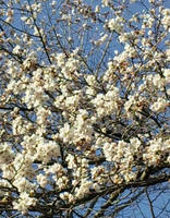 blog2010_4-21_9.jpg