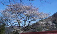 blog2010_4-21_10.jpg