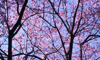 blog2010_4-21_12.jpg