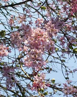 blog2010_4-21_13.jpg