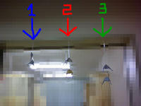 blog2010_4-23_1.jpg