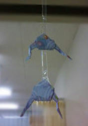 blog2010_4-23_2.jpg