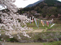 blog2010_4-29_1.jpg