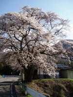 blog2010_4-29_3.jpg