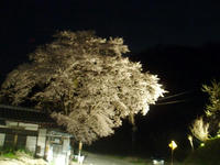 blog2010_4-29_4.jpg