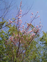 blog2010_4-29_6.jpg