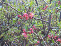 blog2010_4-29_7.jpg