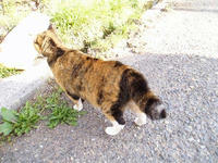 blog2010_4-29_8.jpg