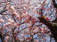 blog2010_4-29_11.jpg