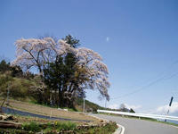 blog2010_4-29_12.jpg