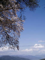 blog2010_4-29_13.jpg