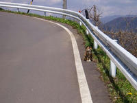 blog2010_4-29_14.jpg