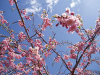 blog2010_4-29_15.jpg