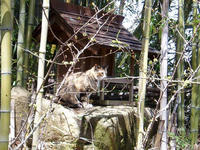 blog2010_4-29_16.jpg