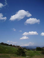 blog2010_4-29_17.jpg