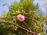 blog2010_4-29_20.jpg