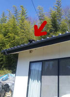blog2010_5-10_1.jpg