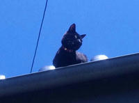 blog2010_5-10_2.jpg
