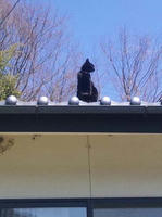 blog2010_5-10_3.jpg