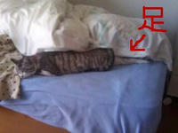 blog2010_5-10_8.jpg