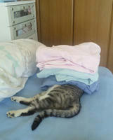blog2010_5-10_10.jpg