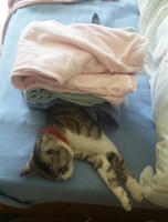 blog2010_5-10_11.jpg