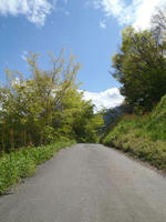 blog2010_5-18_3.jpg