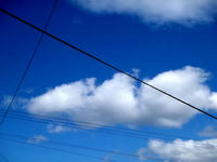 blog2010_5-18_5.jpg