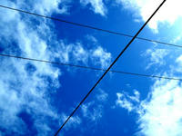 blog2010_5-18_6.jpg