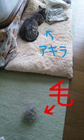 blog2010_5-23_2.jpg