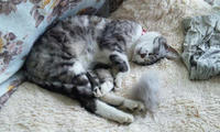 blog2010_5-23_3.jpg