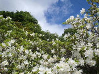 blog2010_5-31_1.jpg