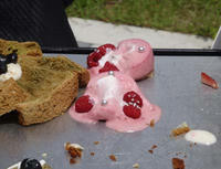 blog2010_6-21_5.jpg