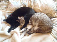 blog2010_6-21_6.jpg