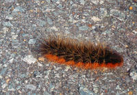 blog2010_6-21_10.jpg