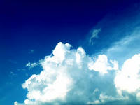 blog2010_7-18_1.jpg