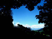 blog2010_7-18_3.jpg