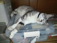 blog2010_7-18_4.jpg