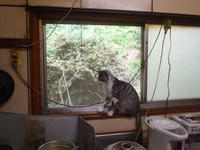 blog2010_7-18_5.jpg