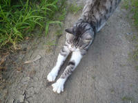 blog2010_7-18_7.jpg