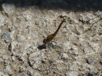blog2010_7-19_3.jpg