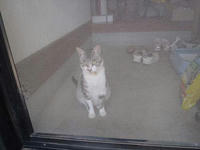 blog2010_7-23_4.jpg