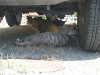 blog2010_7-23_5.jpg