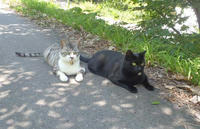 blog2010_7-23_6.jpg