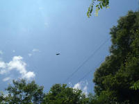 blog2010_7-23_8.jpg