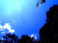 blog2010_7-23_11.jpg