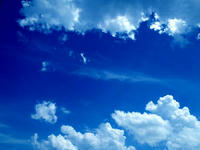 blog2010_7-23_12.jpg