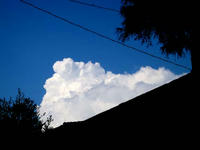 blog2010_8-23_1.jpg
