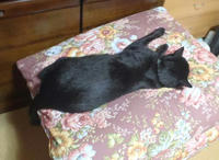 blog2010_8-23_8.jpg