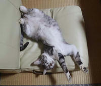 blog2010_8-23_9.jpg